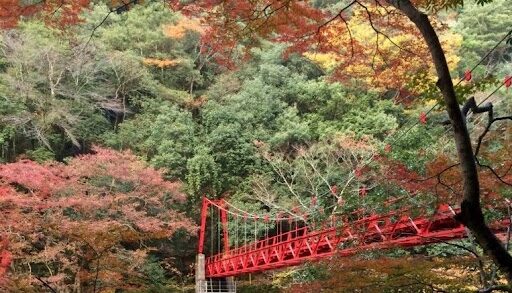 長門峡紅葉まつり（山口市・萩市）